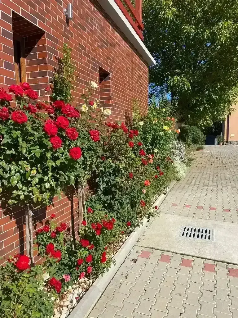 Pince kívülről