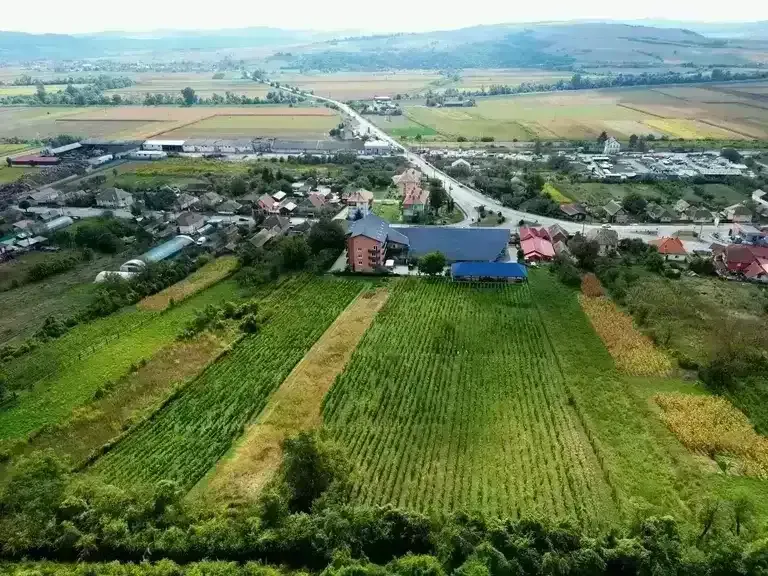 Szőlőbirtok