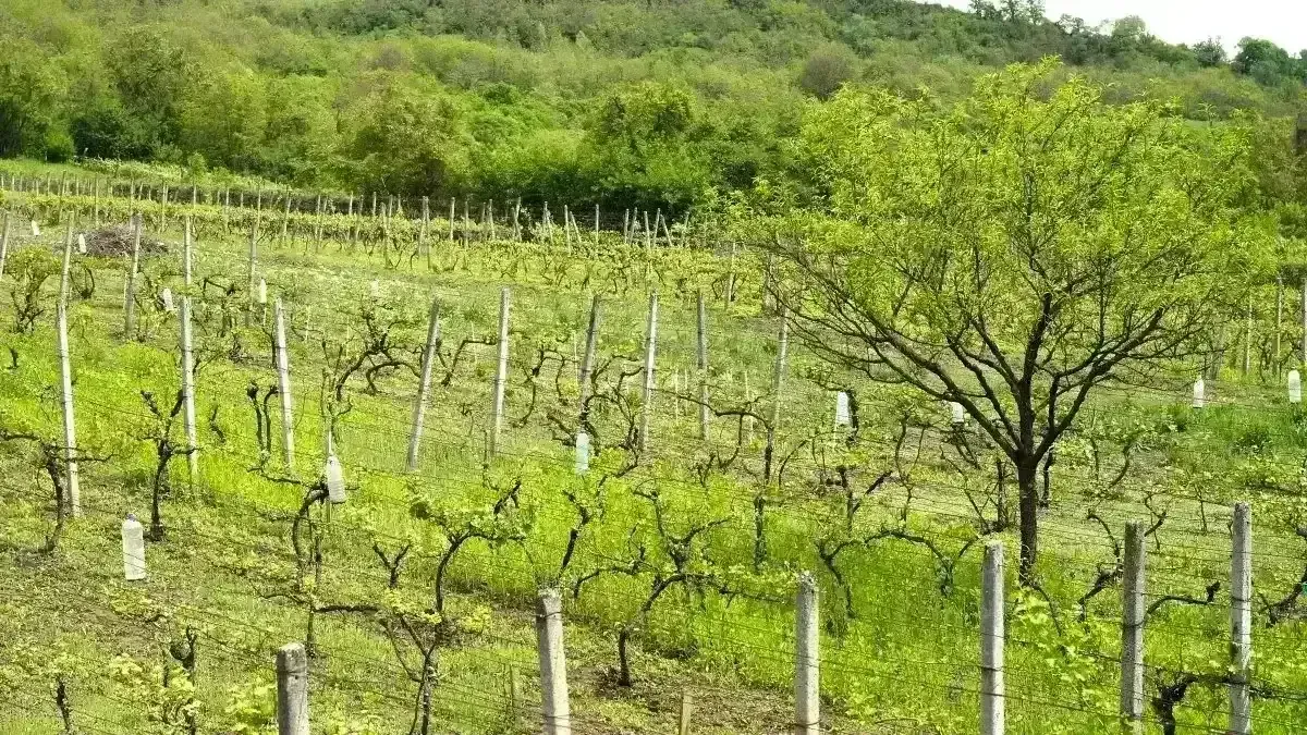 Povestea noastră